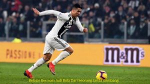 Belajar Bermain Judi Bola Dari Seorang Janda Kembang